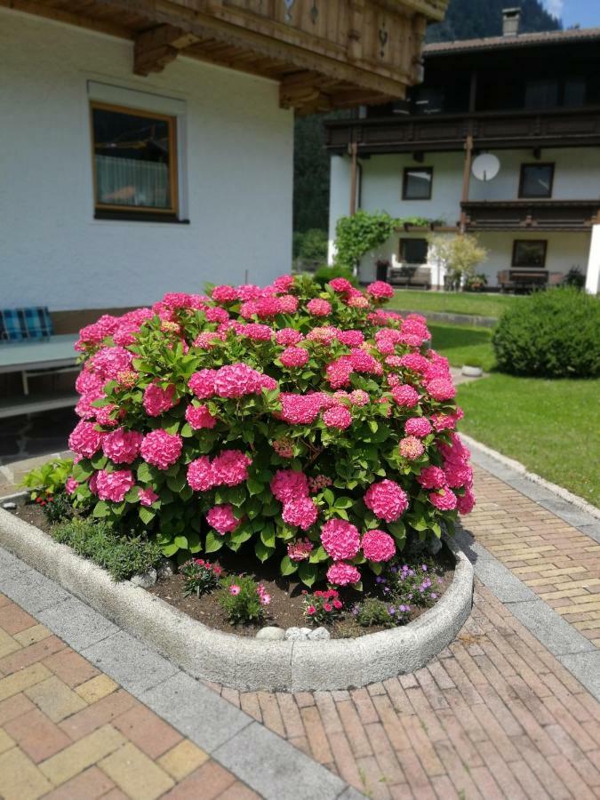 Haus Wildauer Mayrhofen Exterior foto